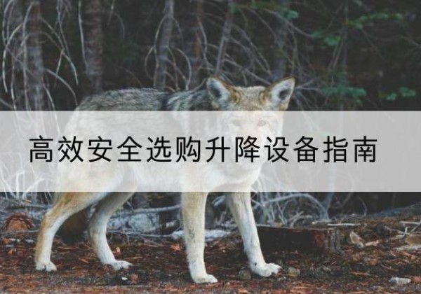 河池升降货梯厂家推荐-*安全选购升降设备指南