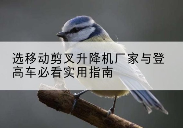 河池电动升降机厂家-选移动剪叉升降机厂家与登高车必看实用指南